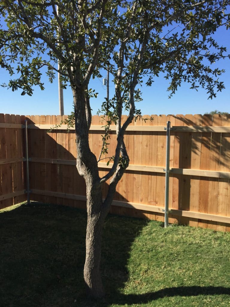 Viking Fencing Cedar Picket Fence 16
