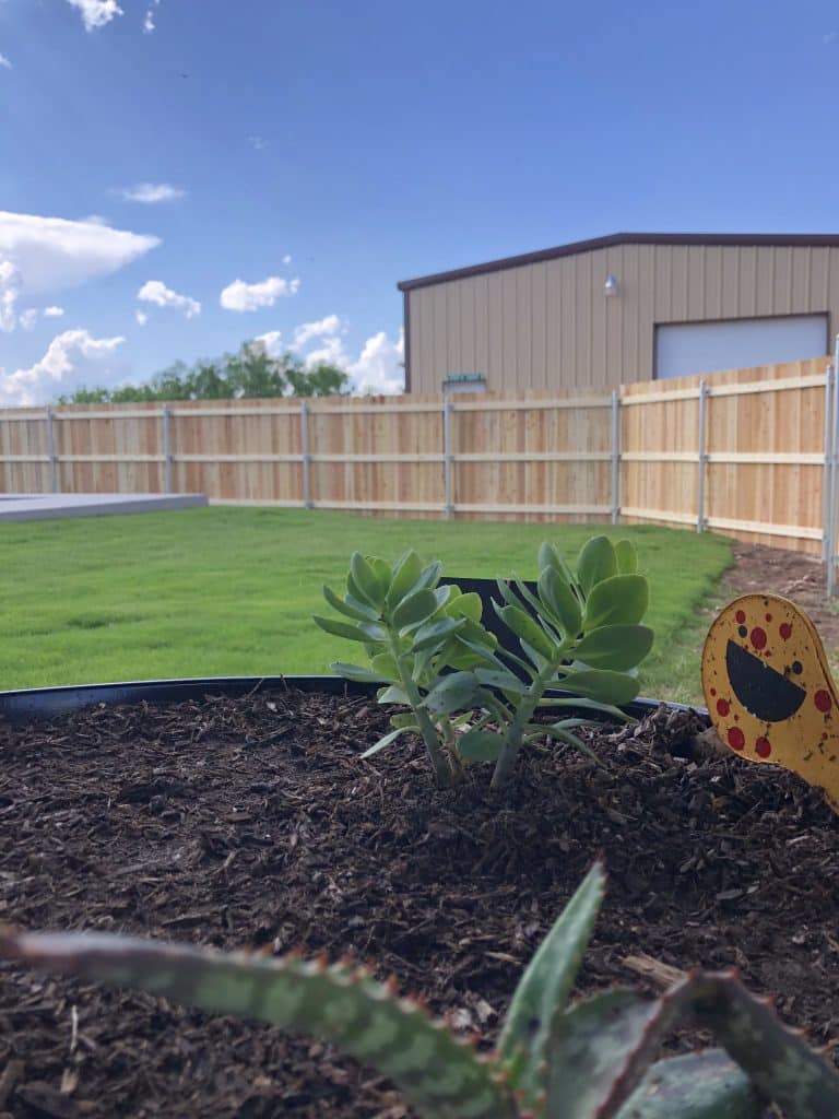 Viking Fencing Cedar Picket Fence 24