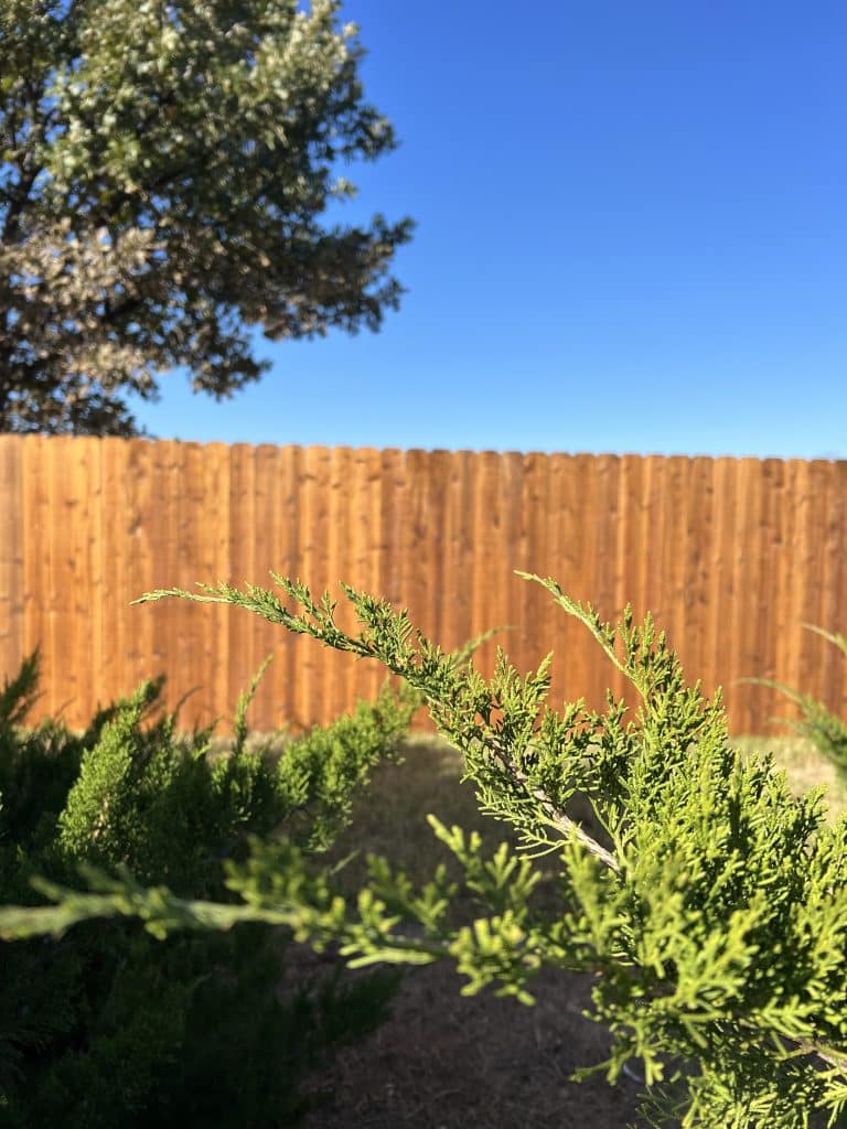 Viking Fencing Cedar Picket Fence 5